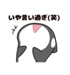 シャチのしゃっちー リアクション（個別スタンプ：26）