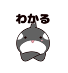 シャチのしゃっちー リアクション（個別スタンプ：38）