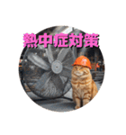 ネコ現場編（個別スタンプ：1）