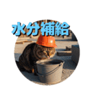 ネコ現場編（個別スタンプ：3）