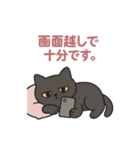 『ヨルネコさん - わかる人だけでいい』（個別スタンプ：9）