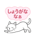「ツンしろにゃん」の日常で使えるスタンプ（個別スタンプ：6）
