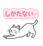 「ツンしろにゃん」の日常で使えるスタンプ（個別スタンプ：9）