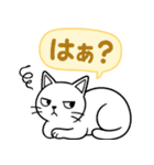 「ツンしろにゃん」の日常で使えるスタンプ（個別スタンプ：19）