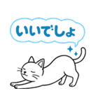 「ツンしろにゃん」の日常で使えるスタンプ（個別スタンプ：21）