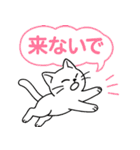 「ツンしろにゃん」の日常で使えるスタンプ（個別スタンプ：30）