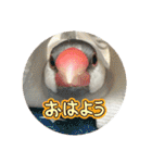 ～ひとみの日常①～（個別スタンプ：1）