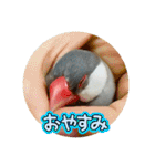 ～ひとみの日常①～（個別スタンプ：2）