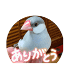 ～ひとみの日常①～（個別スタンプ：3）