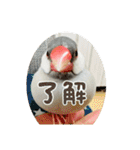 ～ひとみの日常①～（個別スタンプ：5）