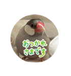 ～ひとみの日常①～（個別スタンプ：6）