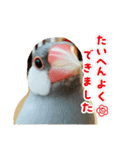 ～ひとみの日常①～（個別スタンプ：10）