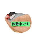 ～ひとみの日常①～（個別スタンプ：11）