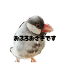 ～ひとみの日常①～（個別スタンプ：12）