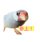 ～ひとみの日常①～（個別スタンプ：13）