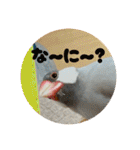 ～ひとみの日常①～（個別スタンプ：15）