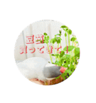 ～ひとみの日常①～（個別スタンプ：16）