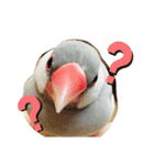 ～ひとみの日常①～（個別スタンプ：19）
