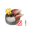 ～ひとみの日常①～（個別スタンプ：20）