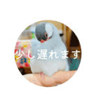 ～ひとみの日常①～（個別スタンプ：21）