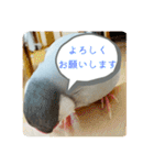 ～ひとみの日常①～（個別スタンプ：22）