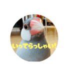 ～ひとみの日常①～（個別スタンプ：23）