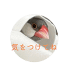 ～ひとみの日常①～（個別スタンプ：24）