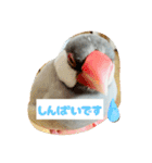 ～ひとみの日常①～（個別スタンプ：25）