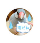 ～ひとみの日常①～（個別スタンプ：28）