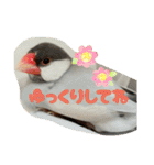 ～ひとみの日常①～（個別スタンプ：29）