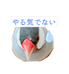 ～ひとみの日常①～（個別スタンプ：36）