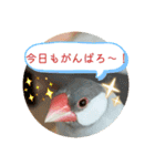 ～ひとみの日常①～（個別スタンプ：40）
