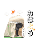 おこげとちょこび No.2（個別スタンプ：1）