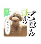 おこげとちょこび No.2（個別スタンプ：3）