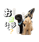 おこげとちょこび No.2（個別スタンプ：4）