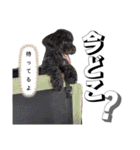 おこげとちょこび No.2（個別スタンプ：14）