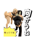 おこげとちょこび No.2（個別スタンプ：15）
