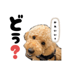 おこげとちょこび No.2（個別スタンプ：20）