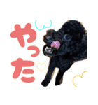 おこげとちょこび No.2（個別スタンプ：32）