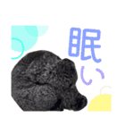 おこげとちょこび No.2（個別スタンプ：33）