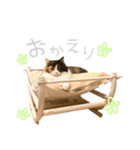 モコちゃんスタンプ⭐︎（個別スタンプ：10）