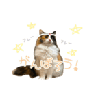 モコちゃんスタンプ⭐︎（個別スタンプ：15）