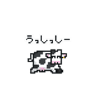 もっと！かにクラブ（個別スタンプ：14）