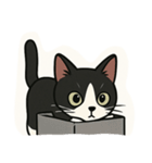 うちのネコむーちゃん（個別スタンプ：11）