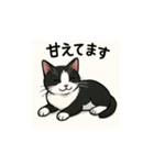うちのネコむーちゃん（個別スタンプ：13）