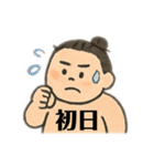 大相撲ファン応援や観戦や日常用語スタンプ（個別スタンプ：11）