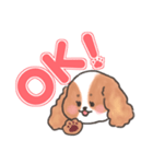 いぬはちゃんスタンプ（個別スタンプ：1）