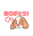いぬはちゃんスタンプ（個別スタンプ：3）