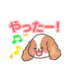いぬはちゃんスタンプ（個別スタンプ：6）