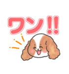 いぬはちゃんスタンプ（個別スタンプ：11）